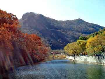 正新澳门二四六天天彩，芒花扫把